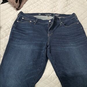 J. Crew Women's Indigo Skinny Jeans